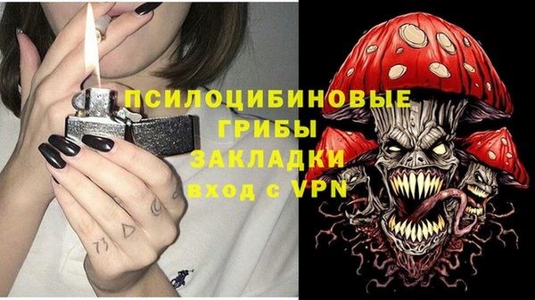 a pvp Арсеньев