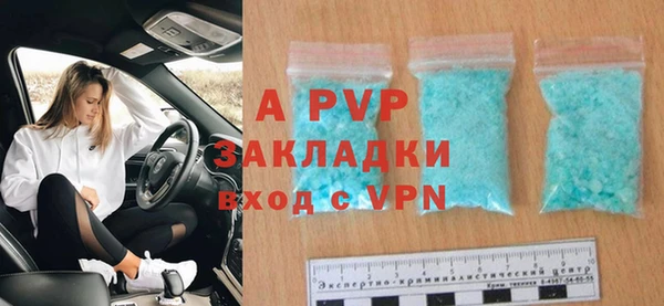 ГАЛЛЮЦИНОГЕННЫЕ ГРИБЫ Осташков