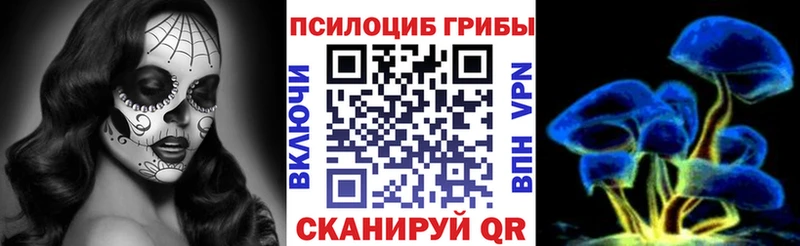 Псилоцибиновые грибы Cubensis  Артёмовский 